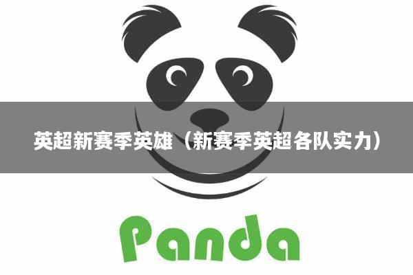 英超新赛季英雄(新赛季英超各队实力)