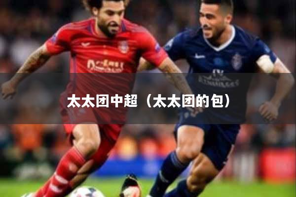 太太团中超（太太团的包）