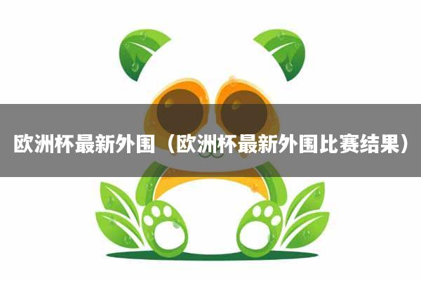 欧洲杯最新外围（欧洲杯最新外围比赛结果）
