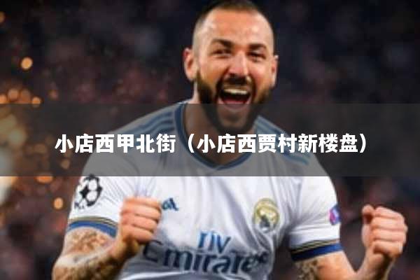 小店西甲北街（小店西贾村新楼盘）