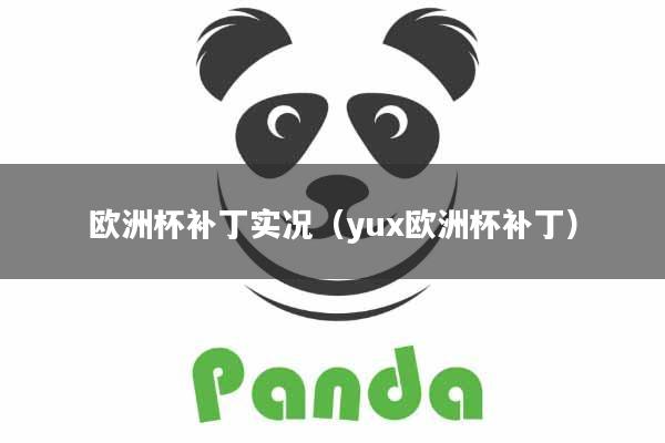 欧洲杯补丁实况(yux欧洲杯补丁)